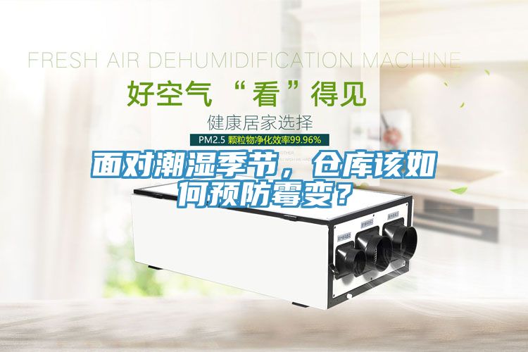 面對潮濕季節(jié)，倉庫該如何預防霉變？