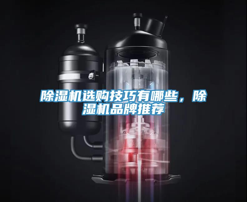 除濕機(jī)選購技巧有哪些，除濕機(jī)品牌推薦
