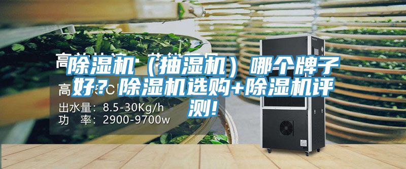 除濕機(jī)（抽濕機(jī)）哪個(gè)牌子好？除濕機(jī)選購(gòu)+除濕機(jī)評(píng)測(cè)!