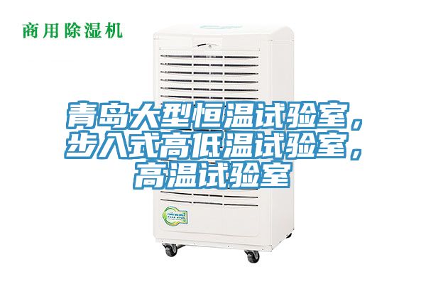青島大型恒溫試驗室，步入式高低溫試驗室，高溫試驗室
