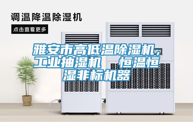 雅安市高低溫除濕機(jī)，工業(yè)抽濕機(jī)  恒溫恒濕非標(biāo)機(jī)器