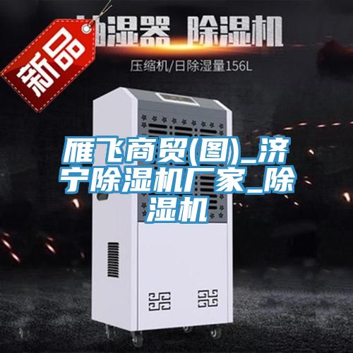 雁飛商貿(mào)(圖)_濟(jì)寧除濕機廠家_除濕機