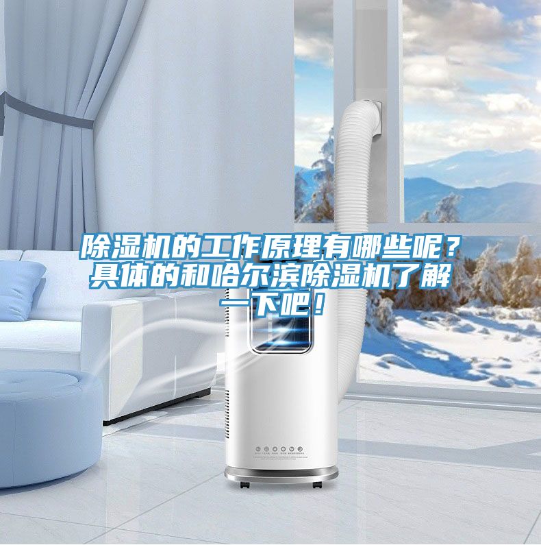 除濕機(jī)的工作原理有哪些呢？具體的和哈爾濱除濕機(jī)了解一下吧！