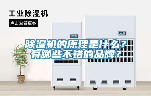 除濕機(jī)的原理是什么？有哪些不錯(cuò)的品牌？