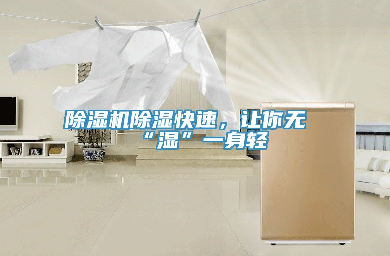 除濕機(jī)除濕快速，讓你無(wú)“濕”一身輕