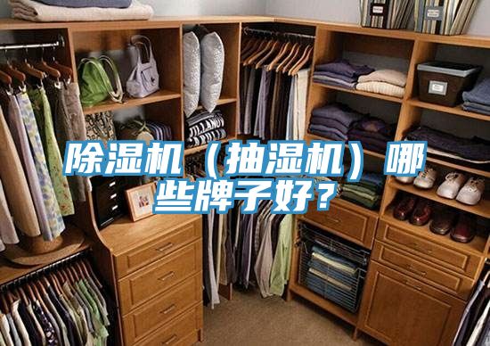 除濕機(jī)（抽濕機(jī)）哪些牌子好？