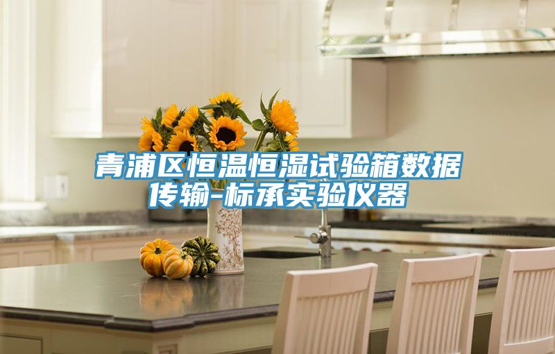 青浦區(qū)恒溫恒濕試驗(yàn)箱數(shù)據(jù)傳輸-標(biāo)承實(shí)驗(yàn)儀器