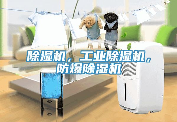 除濕機(jī)，工業(yè)除濕機(jī)，防爆除濕機(jī)