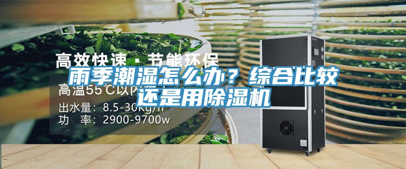 雨季潮濕怎么辦？綜合比較還是用除濕機(jī)