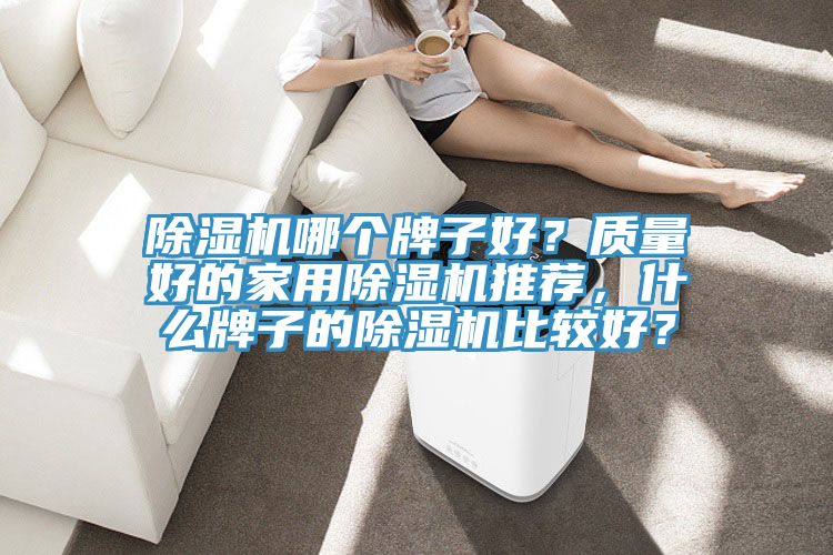 除濕機(jī)哪個(gè)牌子好？質(zhì)量好的家用除濕機(jī)推薦，什么牌子的除濕機(jī)比較好？
