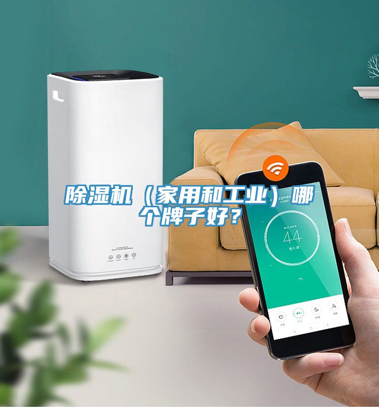除濕機（家用和工業(yè)）哪個牌子好？