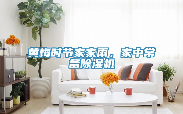 黃梅時節(jié)家家雨，家中常備除濕機