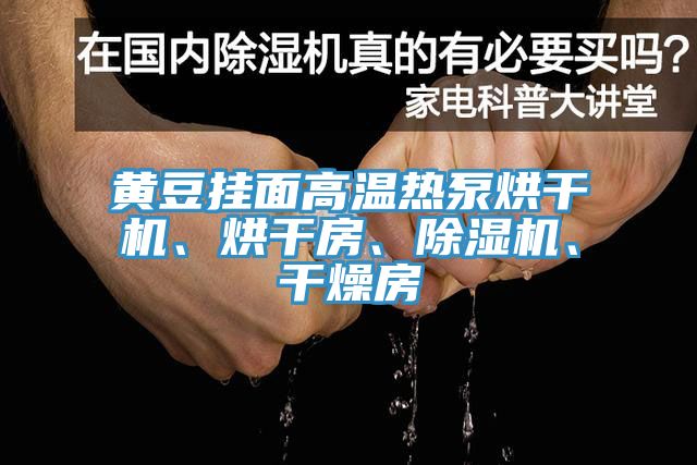 黃豆掛面高溫?zé)岜煤娓蓹C、烘干房、除濕機、干燥房