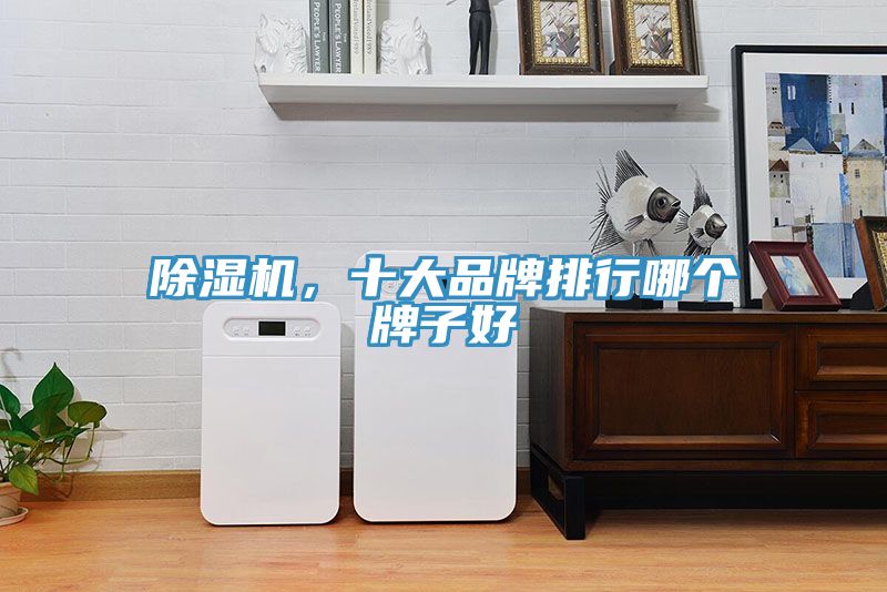 除濕機(jī)，十大品牌排行哪個(gè)牌子好