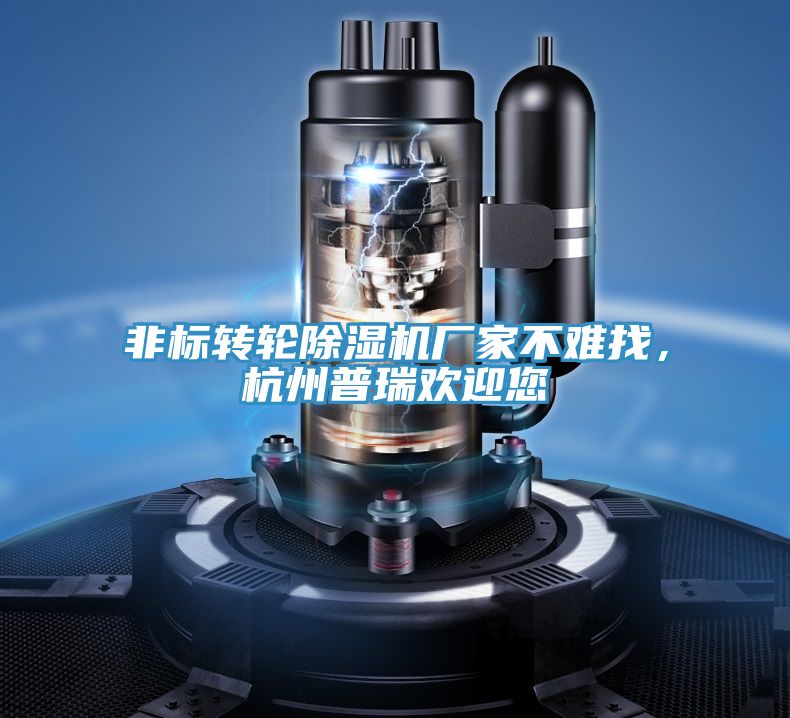 非標轉(zhuǎn)輪除濕機廠家不難找，杭州普瑞歡迎您