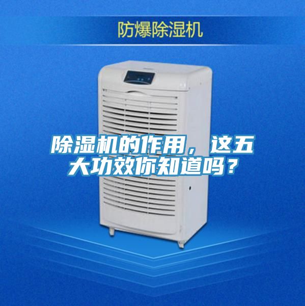 除濕機的作用，這五大功效你知道嗎？
