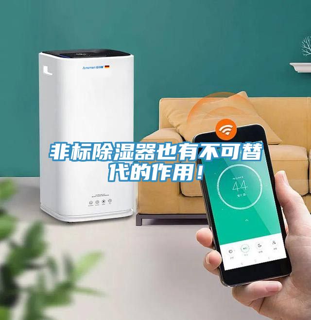 非標(biāo)除濕器也有不可替代的作用！