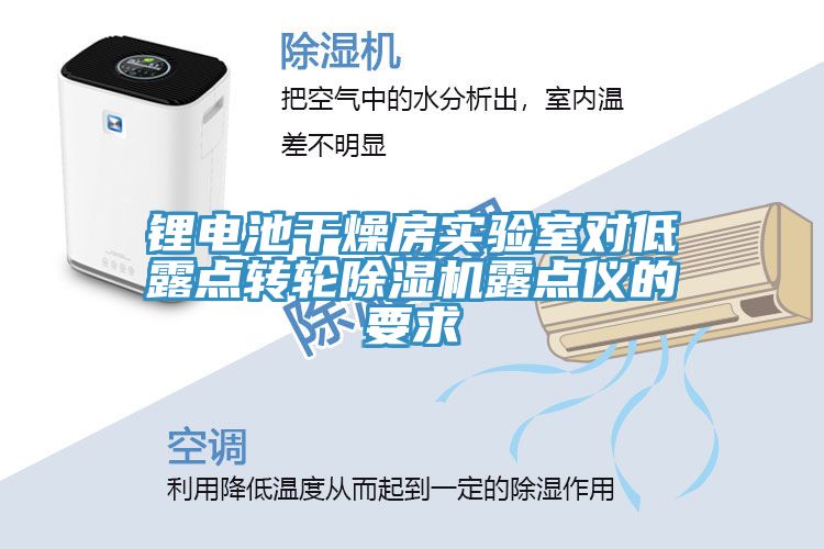 鋰電池干燥房實(shí)驗(yàn)室對(duì)低露點(diǎn)轉(zhuǎn)輪除濕機(jī)露點(diǎn)儀的要求