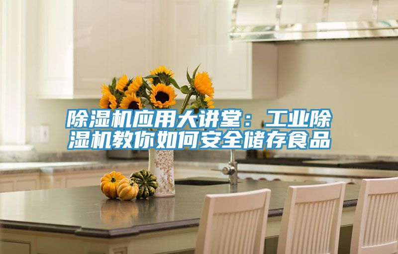 除濕機應(yīng)用大講堂：工業(yè)除濕機教你如何安全儲存食品