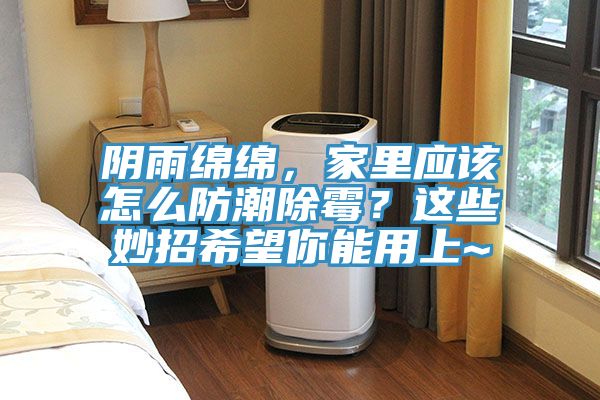 陰雨綿綿，家里應(yīng)該怎么防潮除霉？這些妙招希望你能用上~