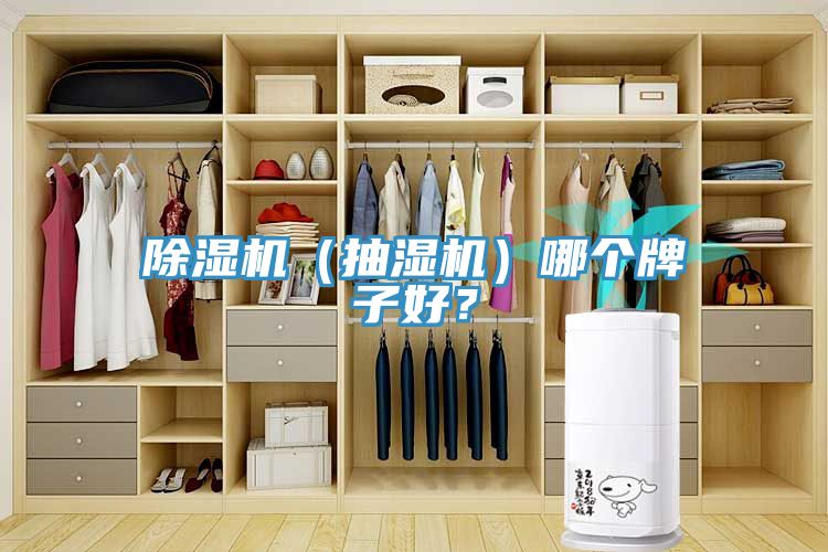 除濕機(jī)（抽濕機(jī)）哪個(gè)牌子好？