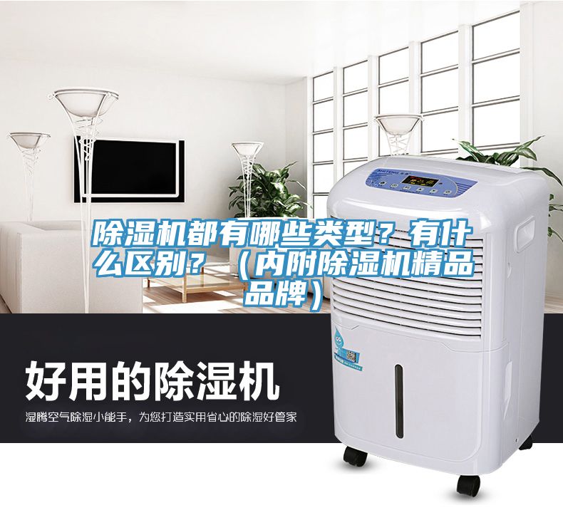除濕機(jī)都有哪些類型？有什么區(qū)別？（內(nèi)附除濕機(jī)精品品牌）