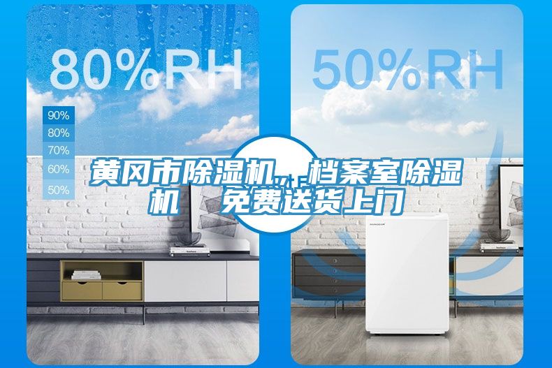 黃岡市除濕機(jī)，檔案室除濕機(jī)  免費(fèi)送貨上門