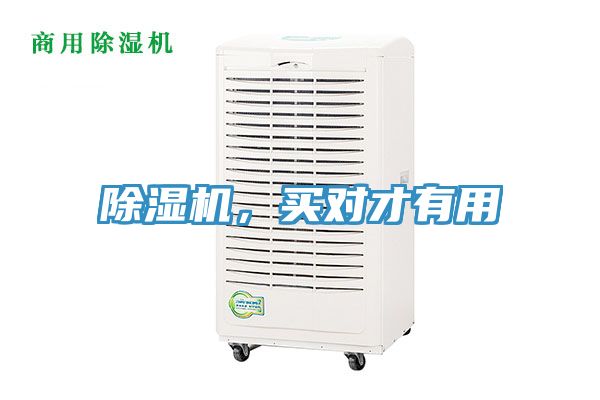 除濕機(jī)，買對(duì)才有用