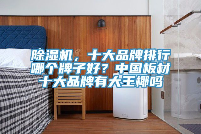 除濕機(jī)，十大品牌排行哪個(gè)牌子好？中國板材十大品牌有大王椰嗎