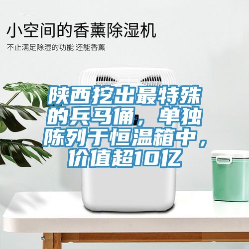 陜西挖出最特殊的兵馬俑，單獨(dú)陳列于恒溫箱中，價(jià)值超10億