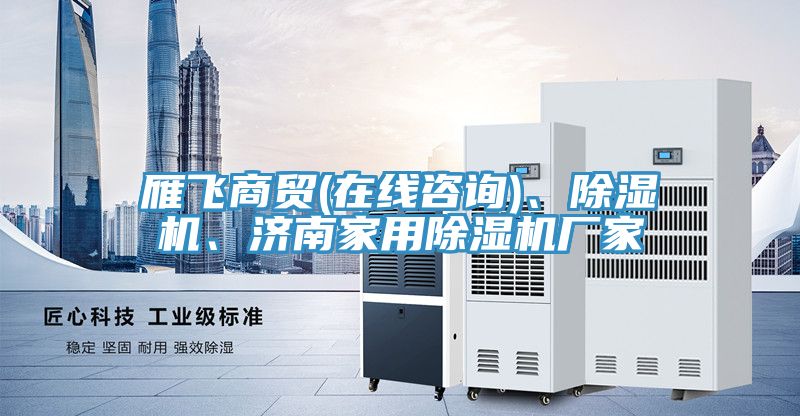 雁飛商貿(mào)(在線咨詢)、除濕機、濟(jì)南家用除濕機廠家