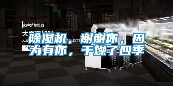 除濕機，謝謝你，因為有你，干燥了四季