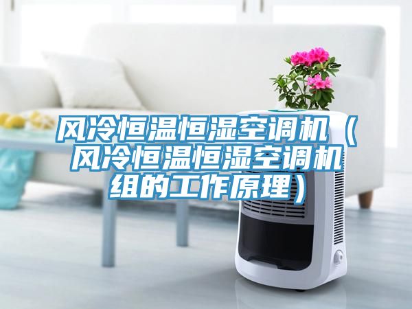 風(fēng)冷恒溫恒濕空調(diào)機（風(fēng)冷恒溫恒濕空調(diào)機組的工作原理）