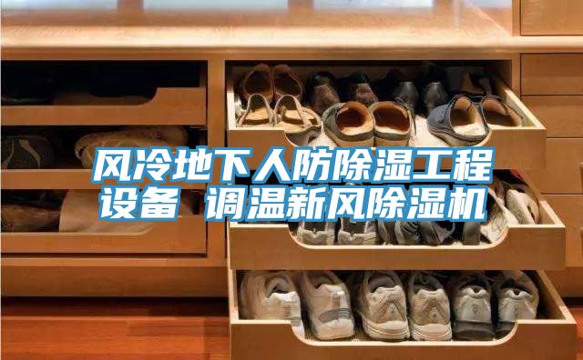 風(fēng)冷地下人防除濕工程設(shè)備 調(diào)溫新風(fēng)除濕機