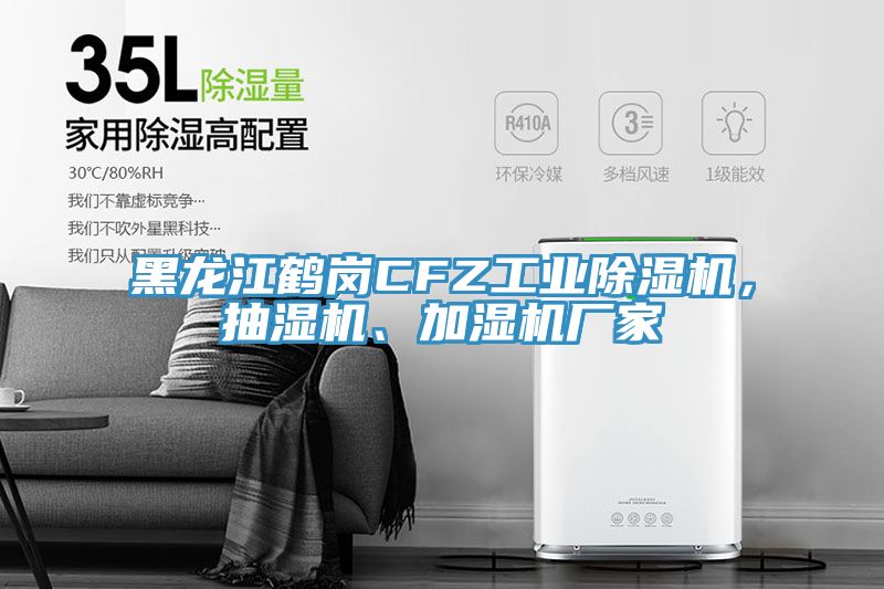 黑龍江鶴崗CFZ工業(yè)除濕機(jī)，抽濕機(jī)、加濕機(jī)廠家