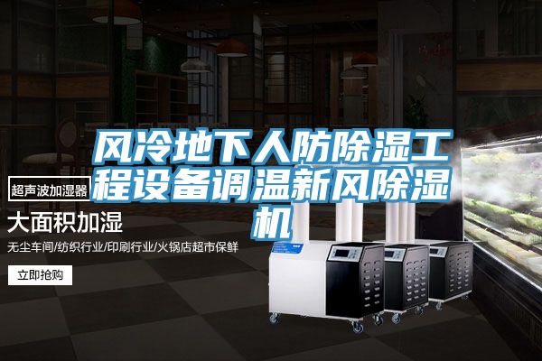 風(fēng)冷地下人防除濕工程設(shè)備調(diào)溫新風(fēng)除濕機