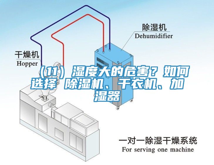 （11）濕度大的危害？如何選擇 除濕機(jī)、干衣機(jī)、加濕器