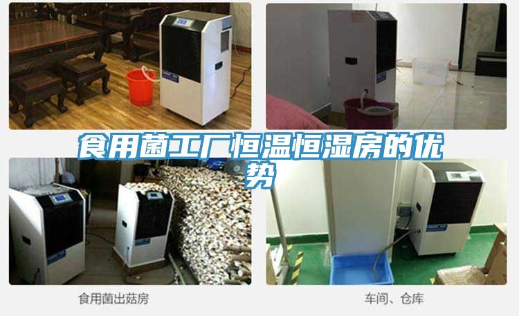 食用菌工廠恒溫恒濕房的優(yōu)勢(shì)