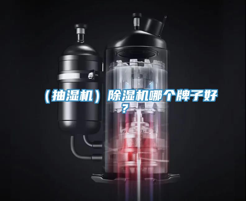 （抽濕機）除濕機哪個牌子好？