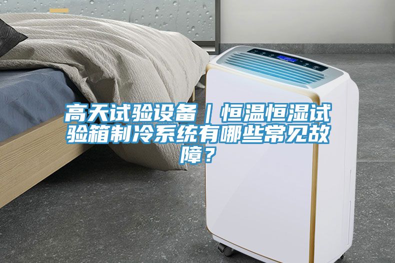 高天試驗(yàn)設(shè)備｜恒溫恒濕試驗(yàn)箱制冷系統(tǒng)有哪些常見(jiàn)故障？