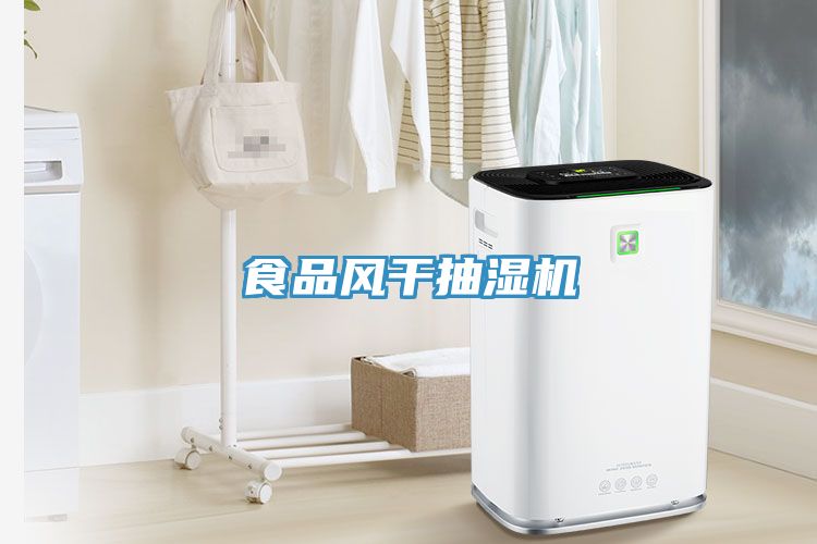 食品風(fēng)干抽濕機(jī)