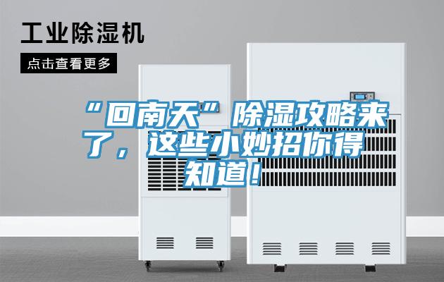 “回南天”除濕攻略來了，這些小妙招你得知道！