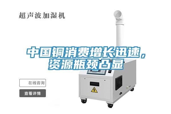 中國銅消費增長迅速，資源瓶頸凸顯