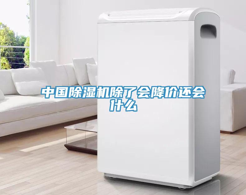 中國除濕機(jī)除了會(huì)降價(jià)還會(huì)什么