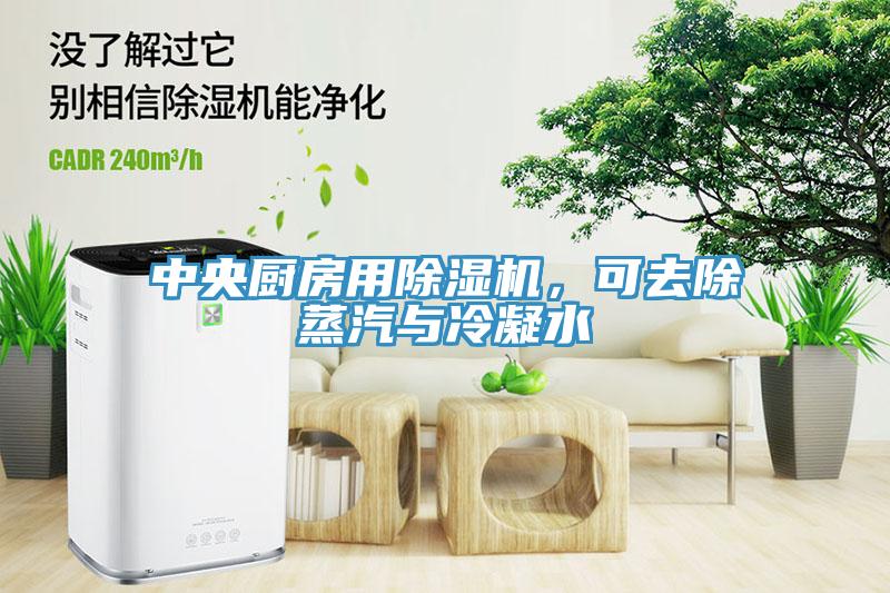 中央廚房用除濕機(jī)，可去除蒸汽與冷凝水