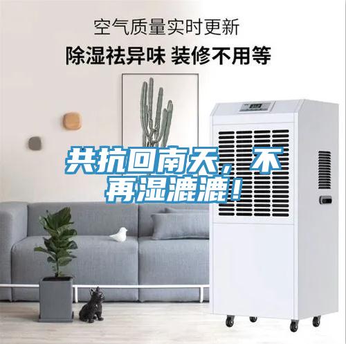 共抗回南天，不再濕漉漉！