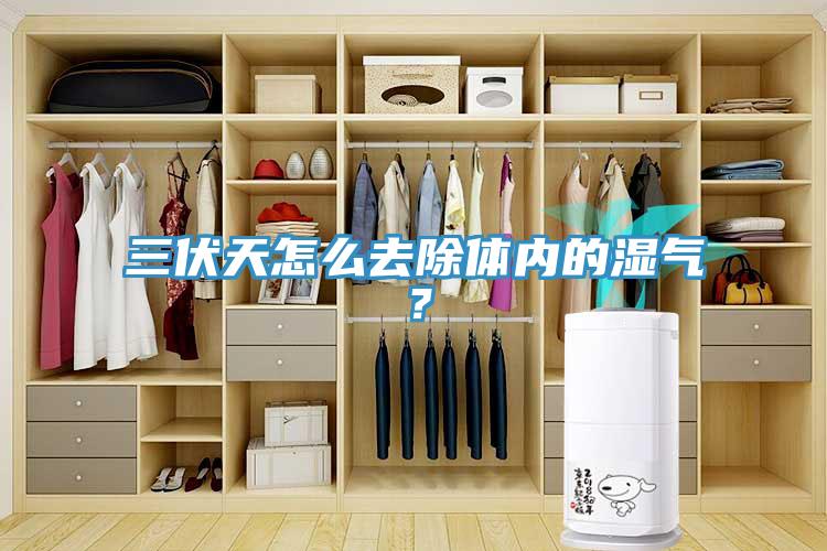 三伏天怎么去除體內(nèi)的濕氣？