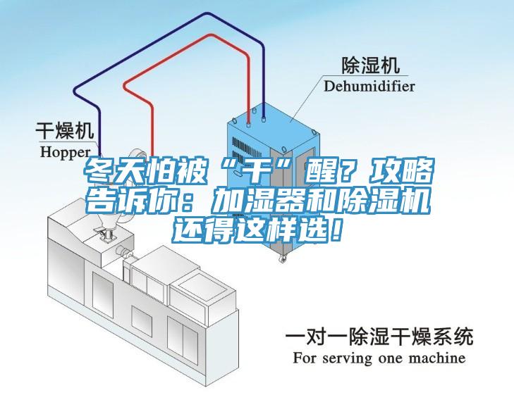 冬天怕被“干”醒？攻略告訴你：加濕器和除濕機(jī)還得這樣選！