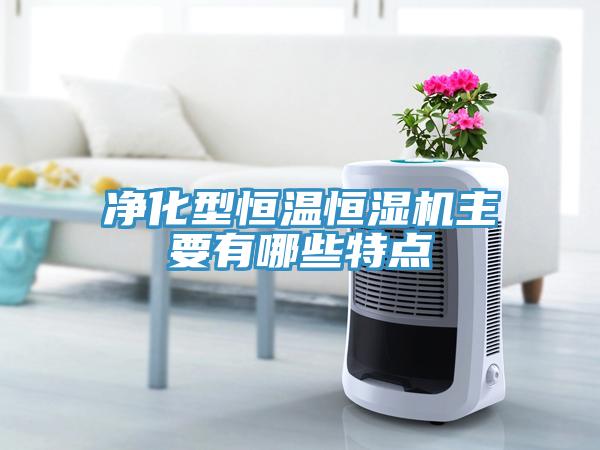 凈化型恒溫恒濕機(jī)主要有哪些特點