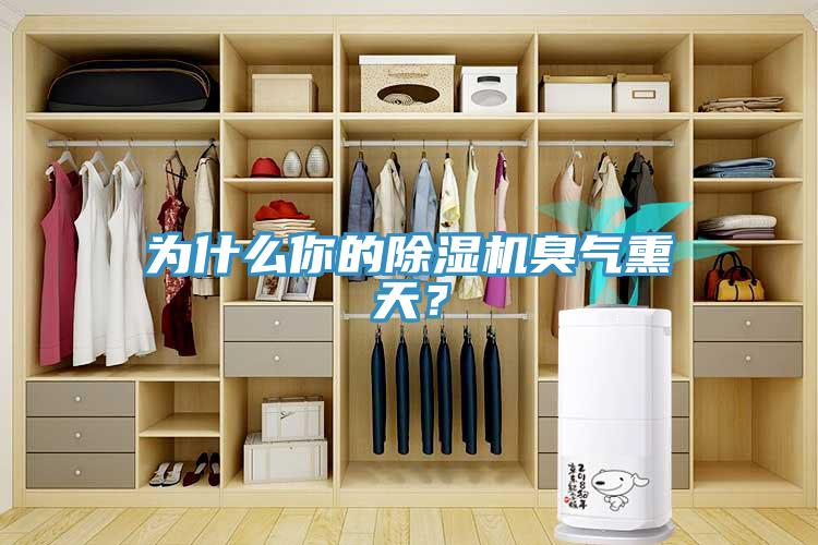 為什么你的除濕機(jī)臭氣熏天？